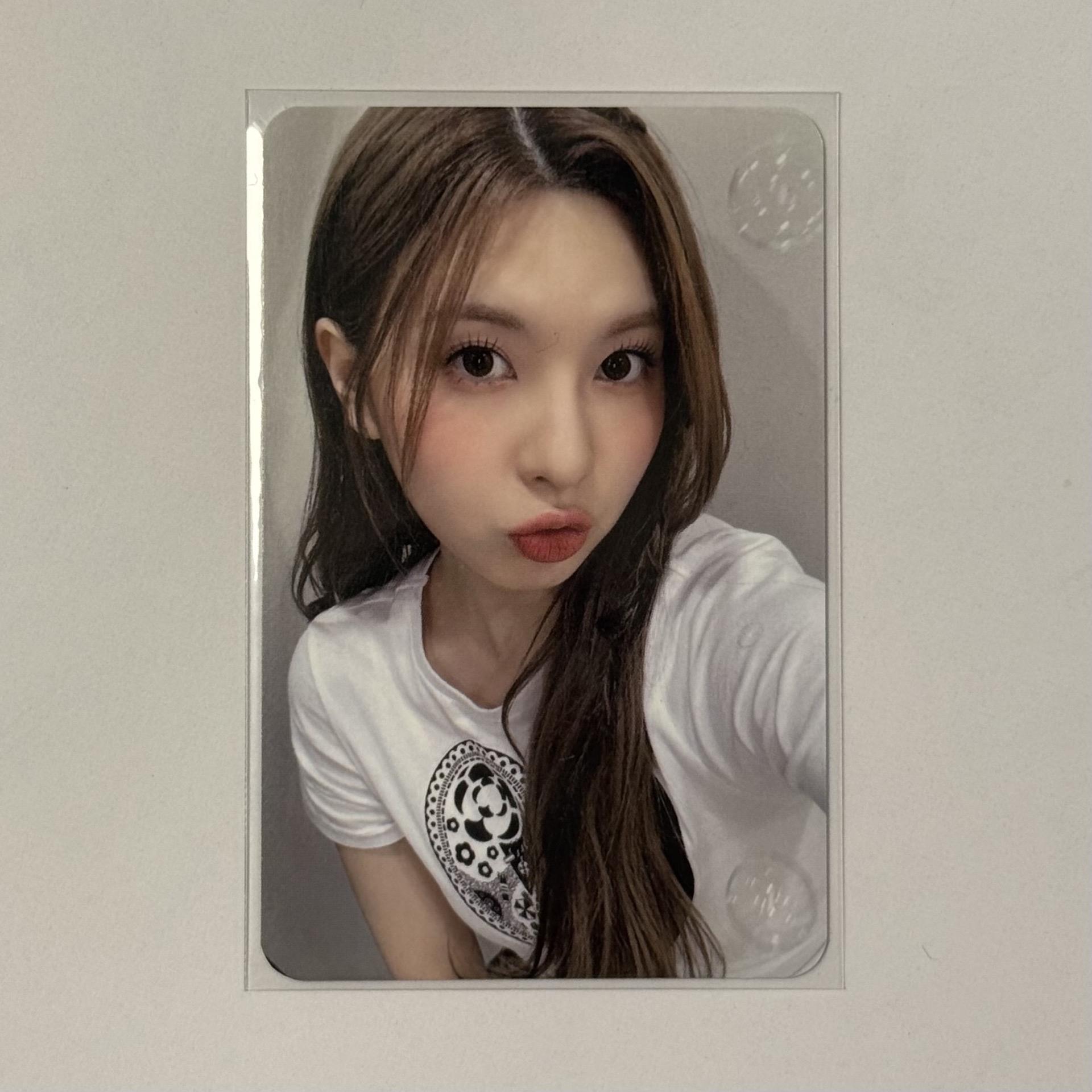 expérgo ms 線下 3.0 簽售卡 泡泡 裴