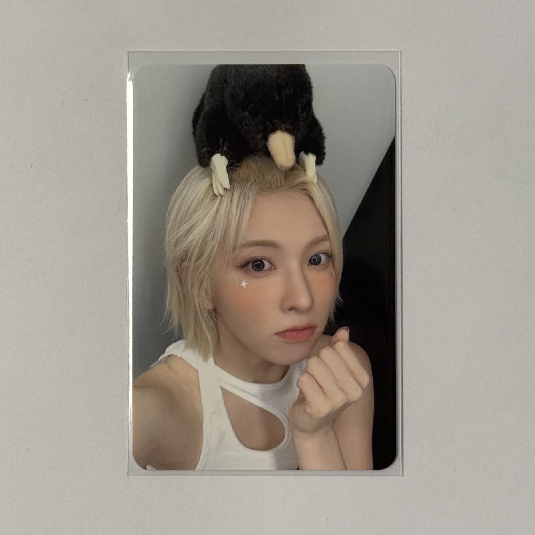 STICK OUT ms 簽售卡 6.0 鼹鼠裴