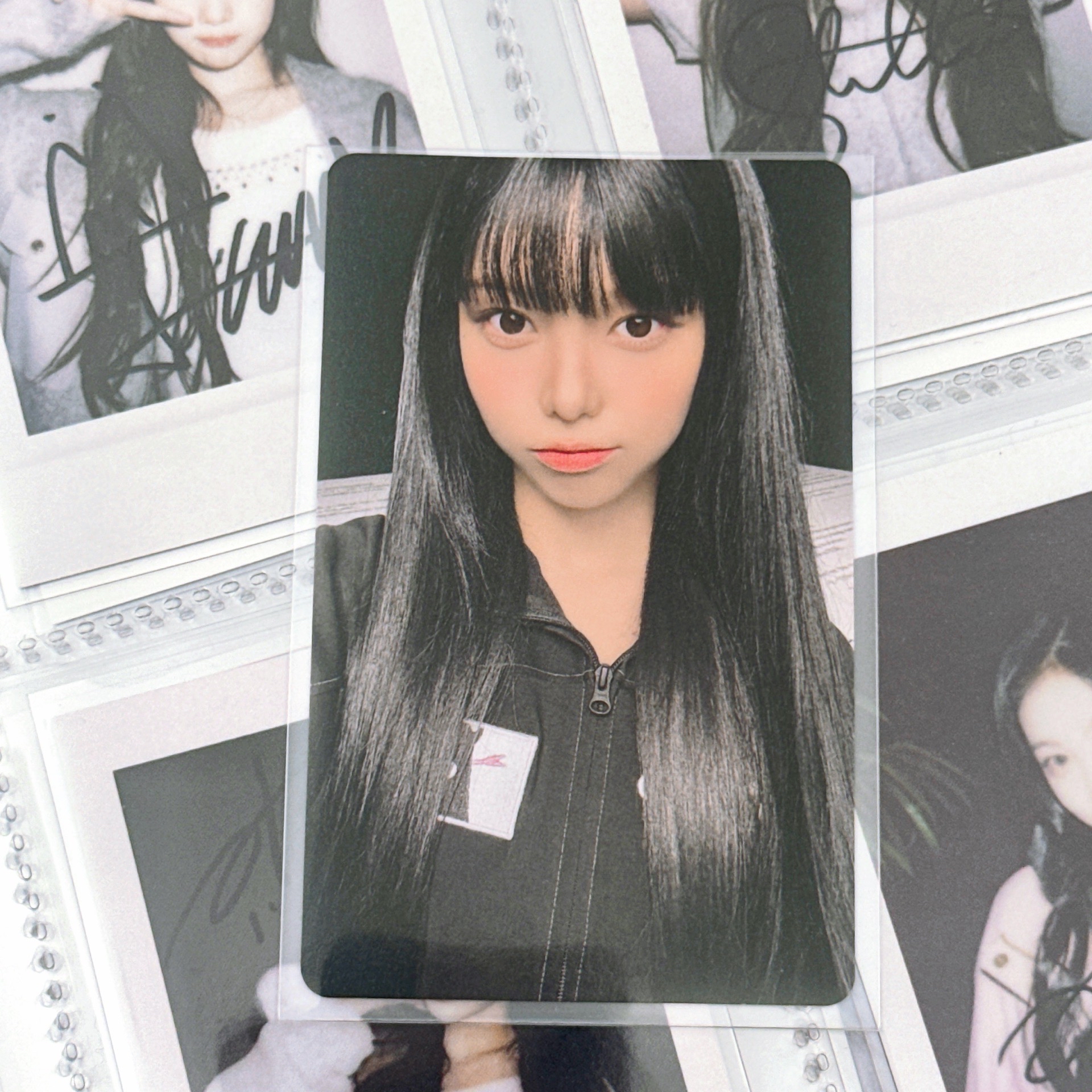 Focus塔店特典🫛IAN