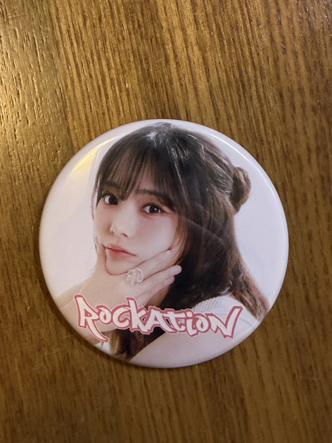 ROCKATION 日巡徽章 燕