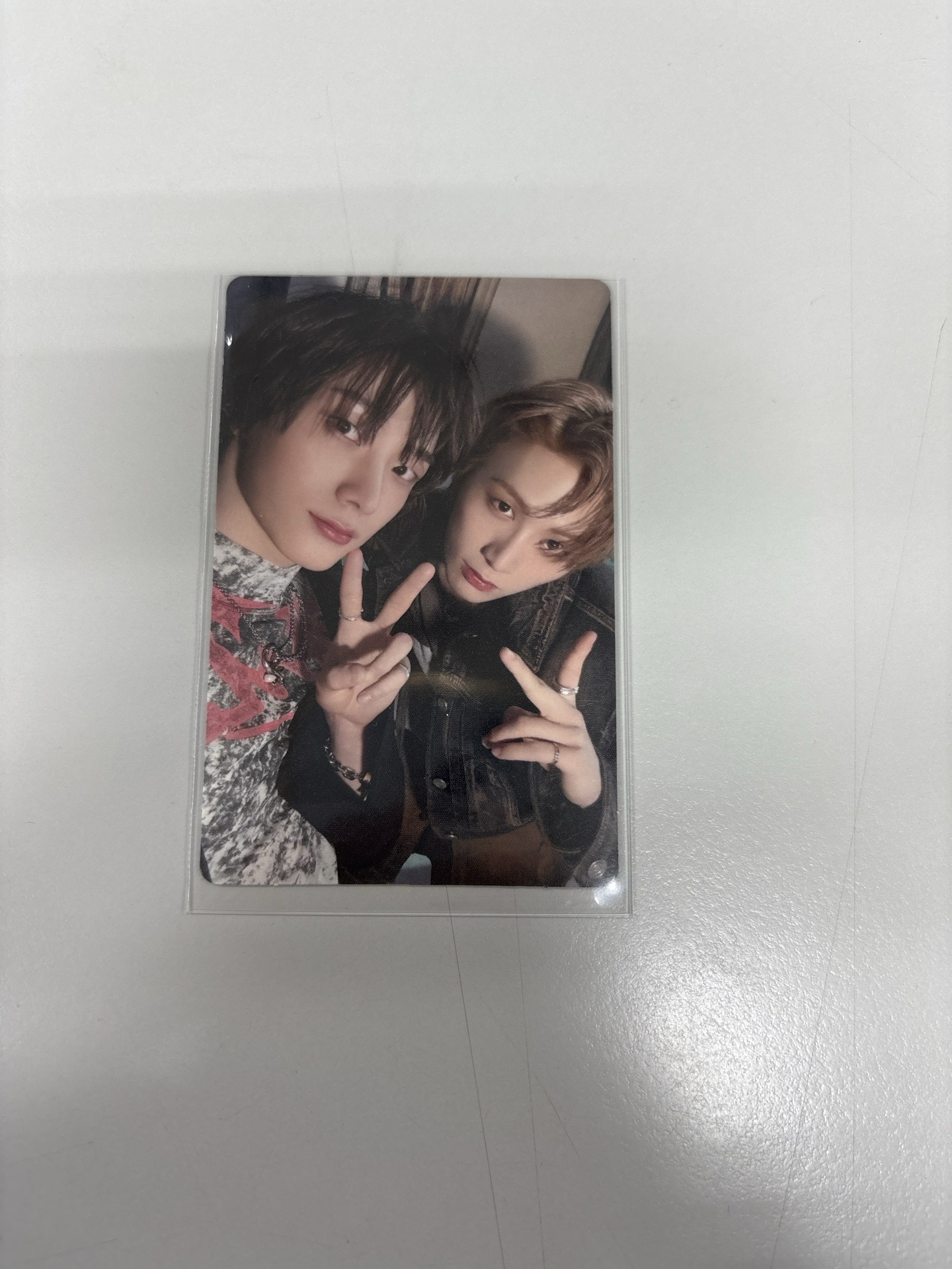 請問這是你家西批嗎