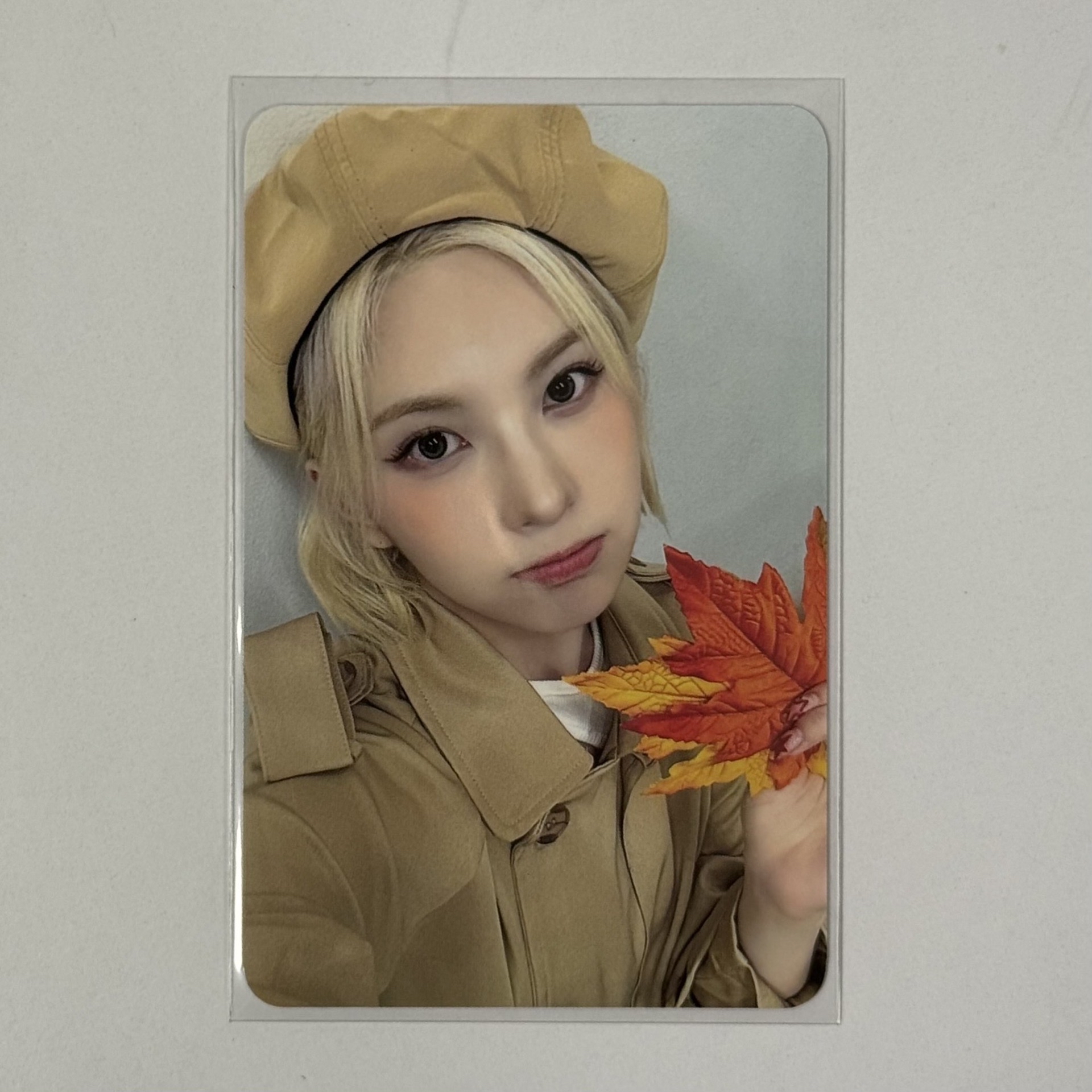 STICK OUT ms 幸運卡 楓葉裴