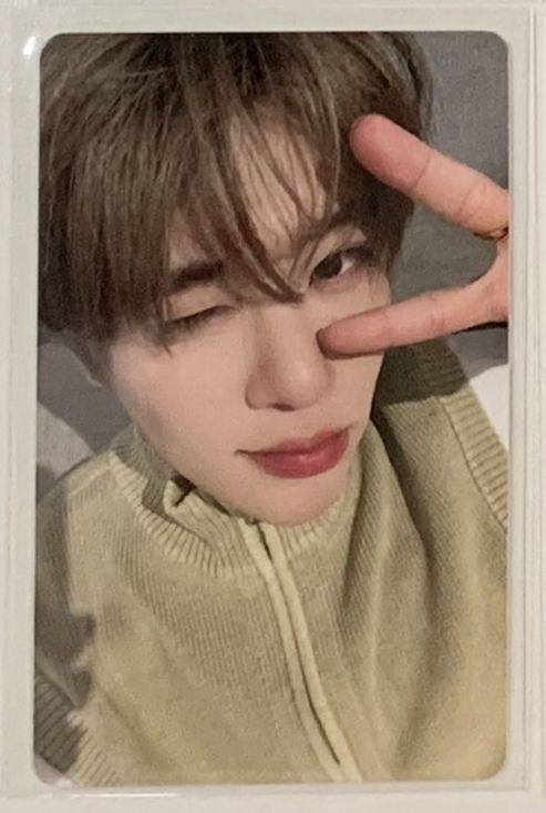 泡泡摩奇A（中背）