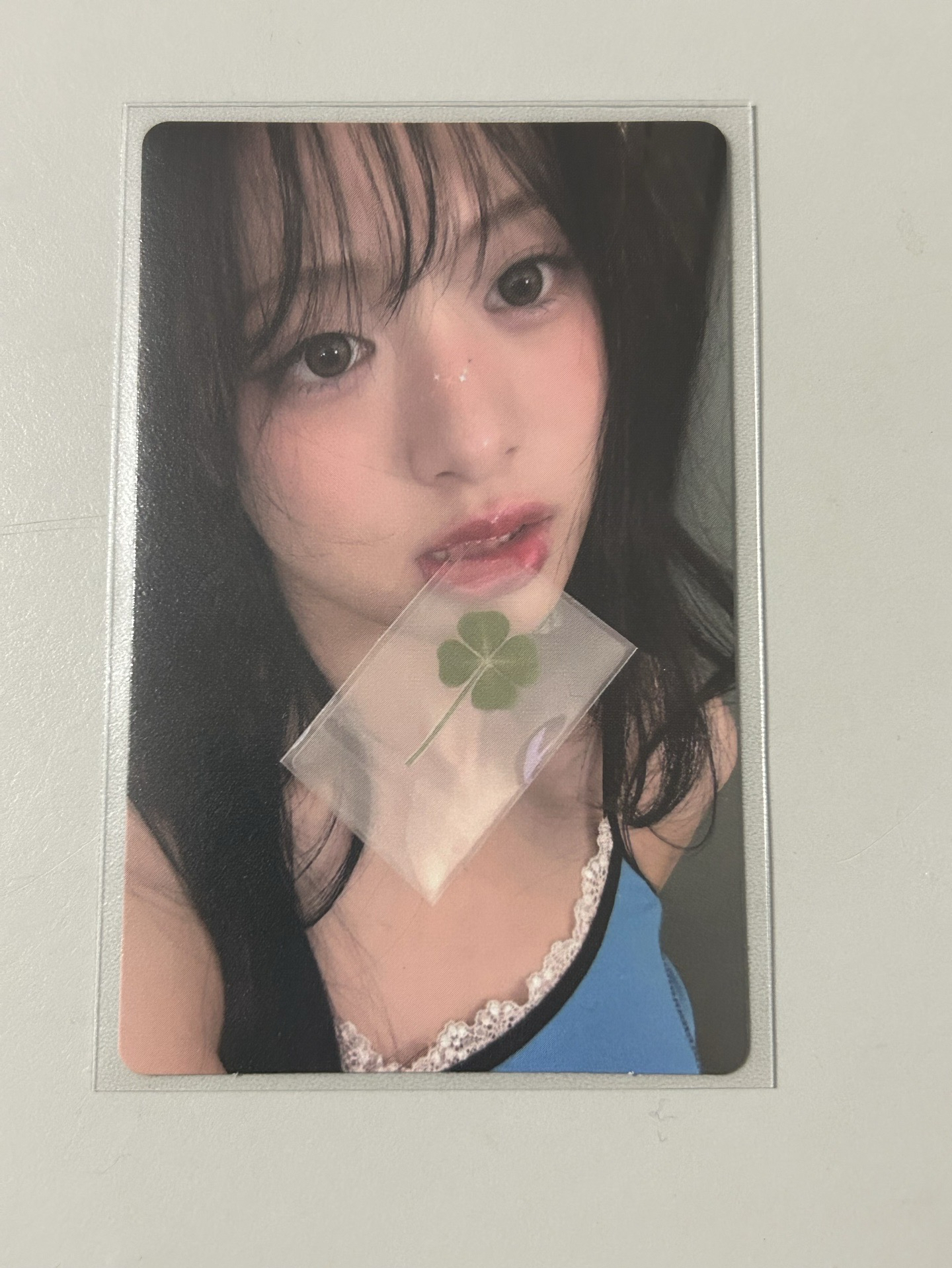 （限時特價）寶怪 wvs幸運草賢 單出