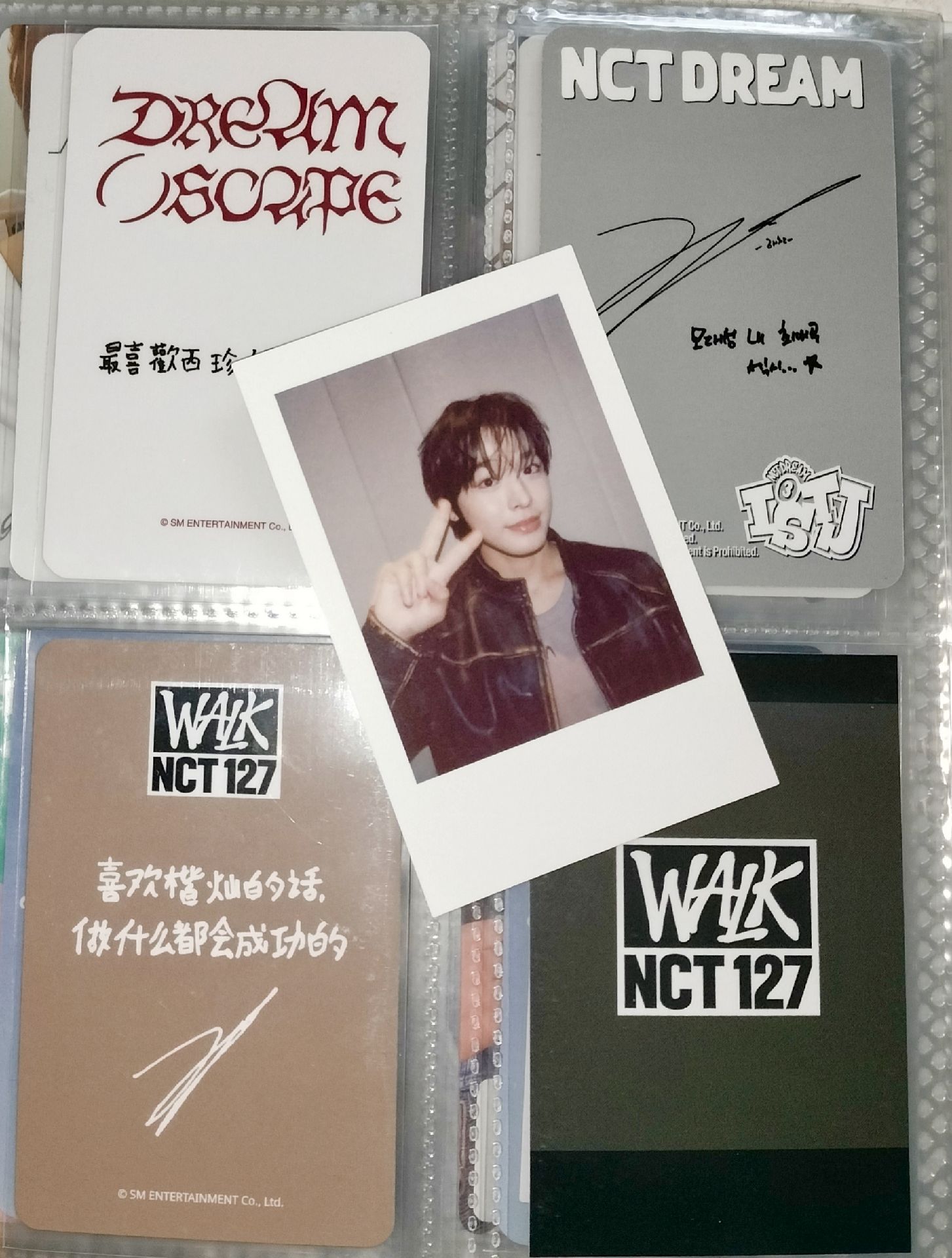 🐈‍⬛陸卡 露露ㄕ好貓🕶️🐾~