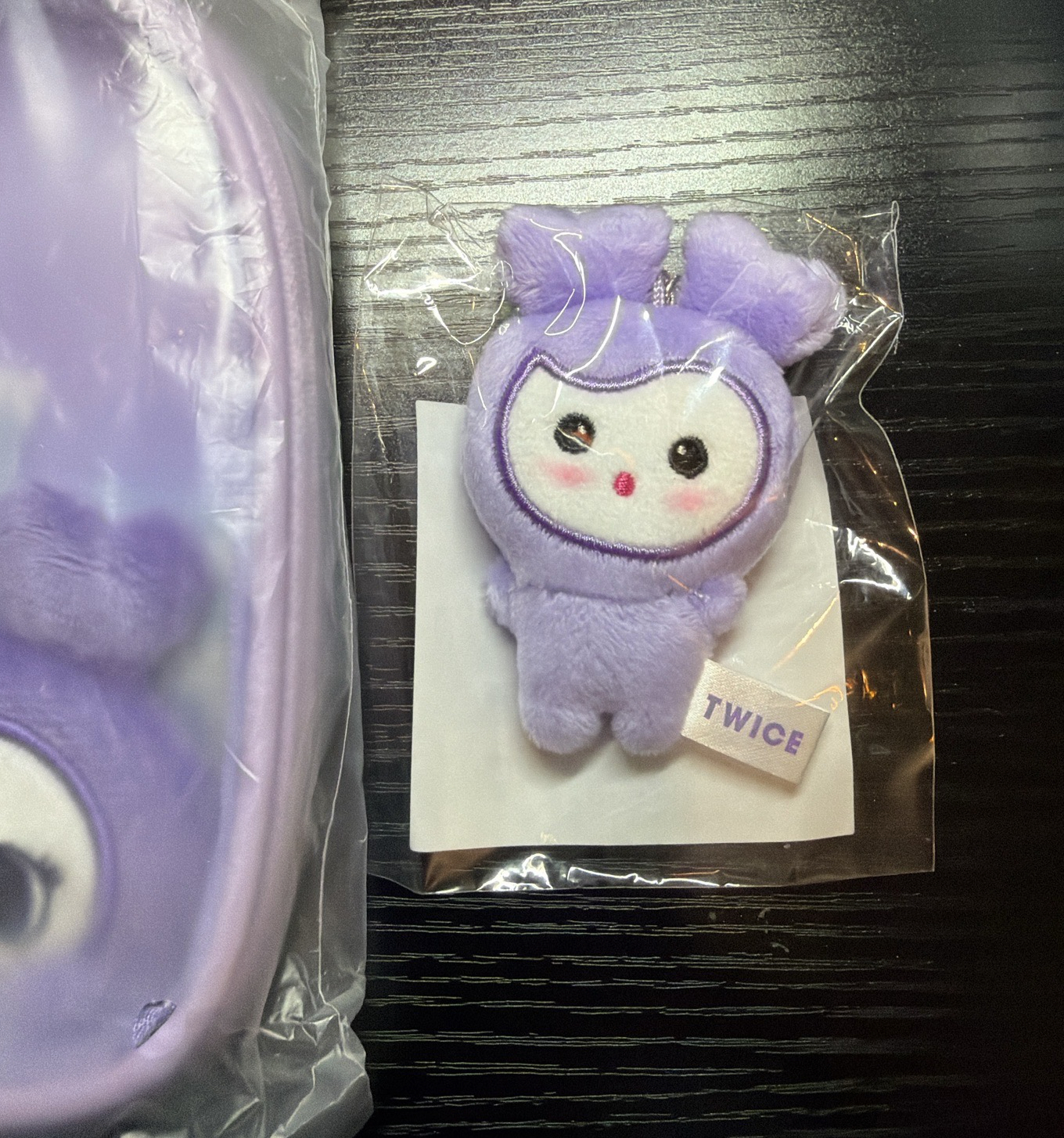 Twice Sana五巡立牌包