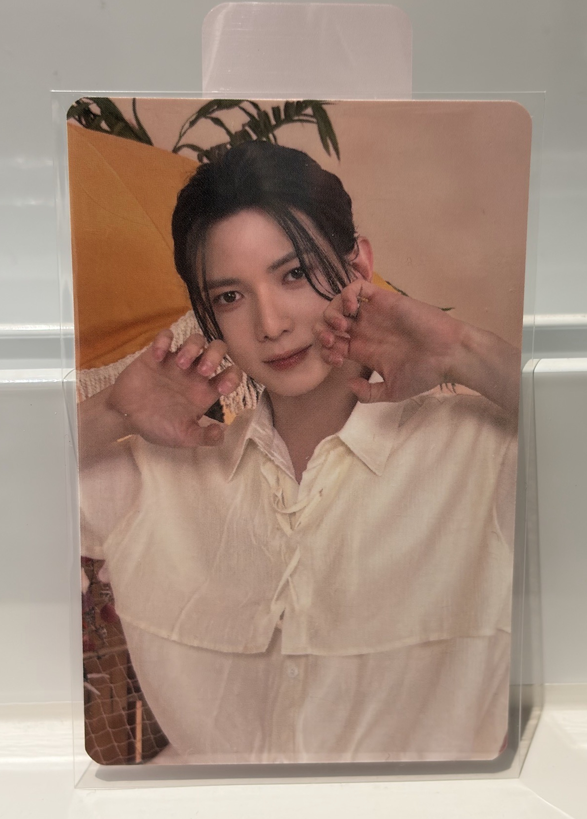 星尚多帶Mighteez滿額尚（預訂）