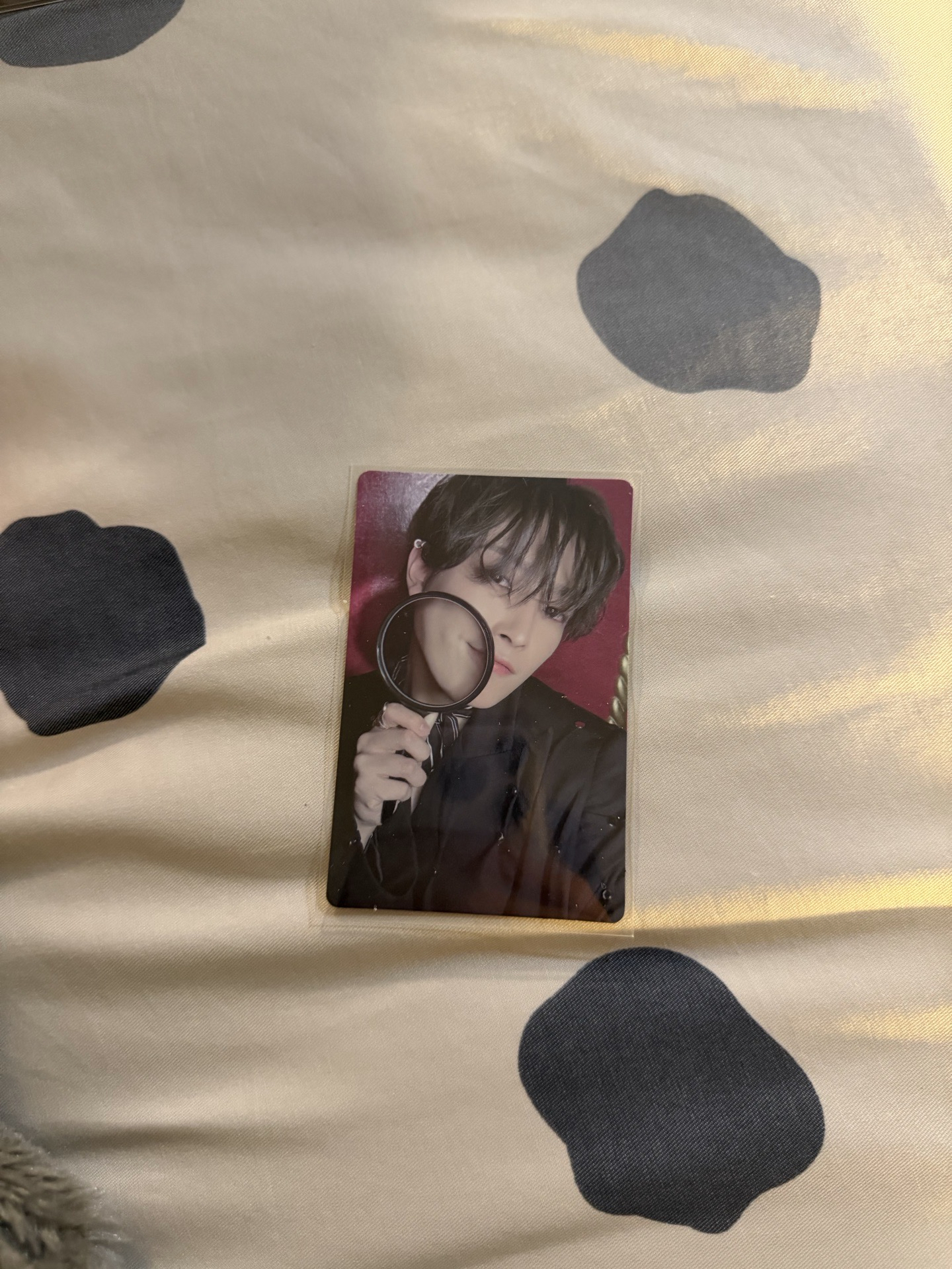 金弘中 美通特典