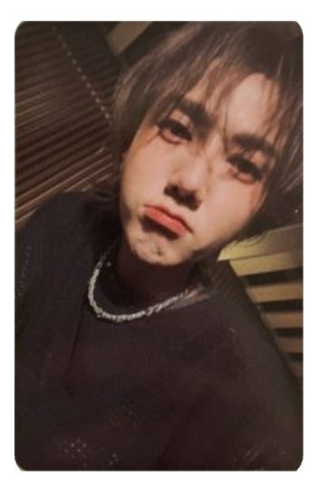 藝聲迷五特別版專卡