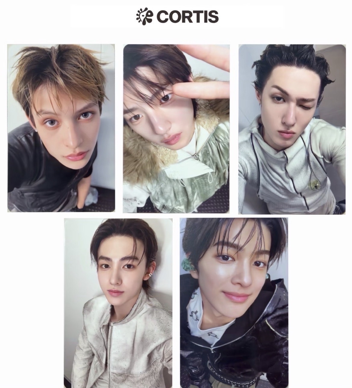 Cortis 年末特典 MA