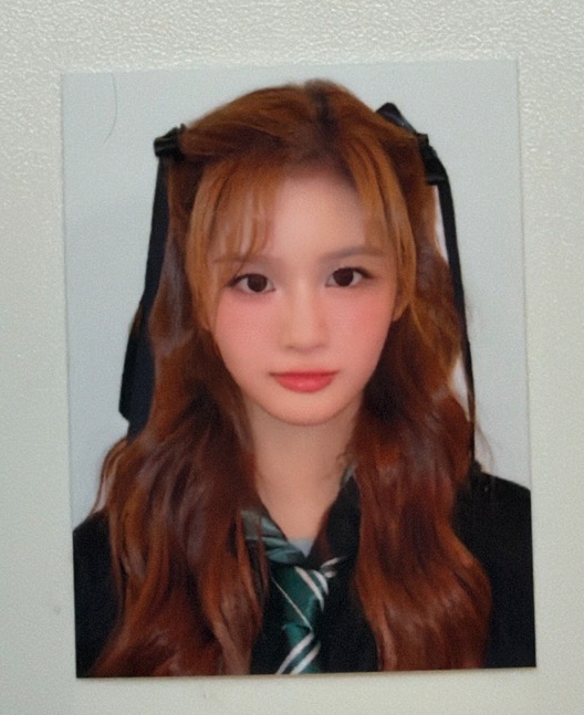 哈利波特證件照薛