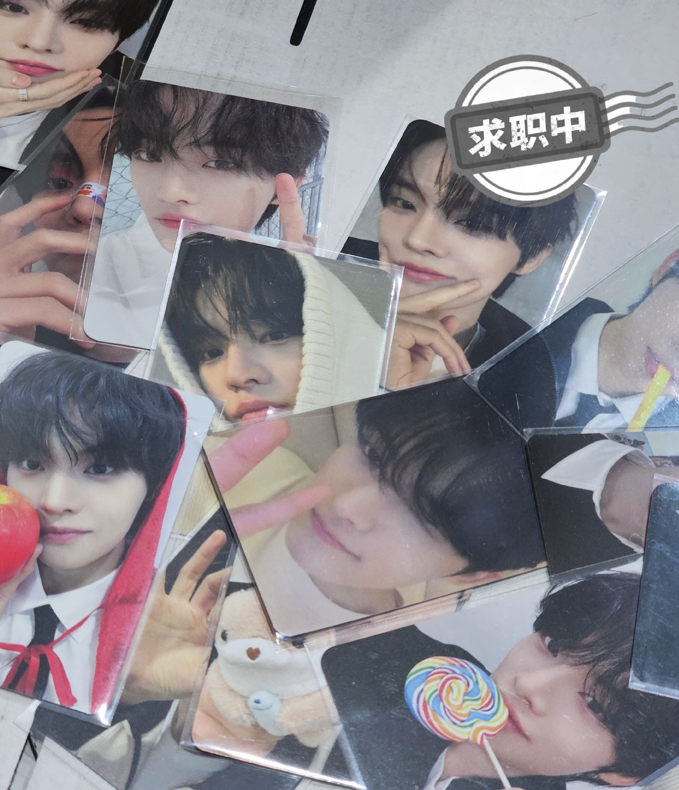 CYE閩語鍋鍋求職中🩷開除全姓優秀員工數十名