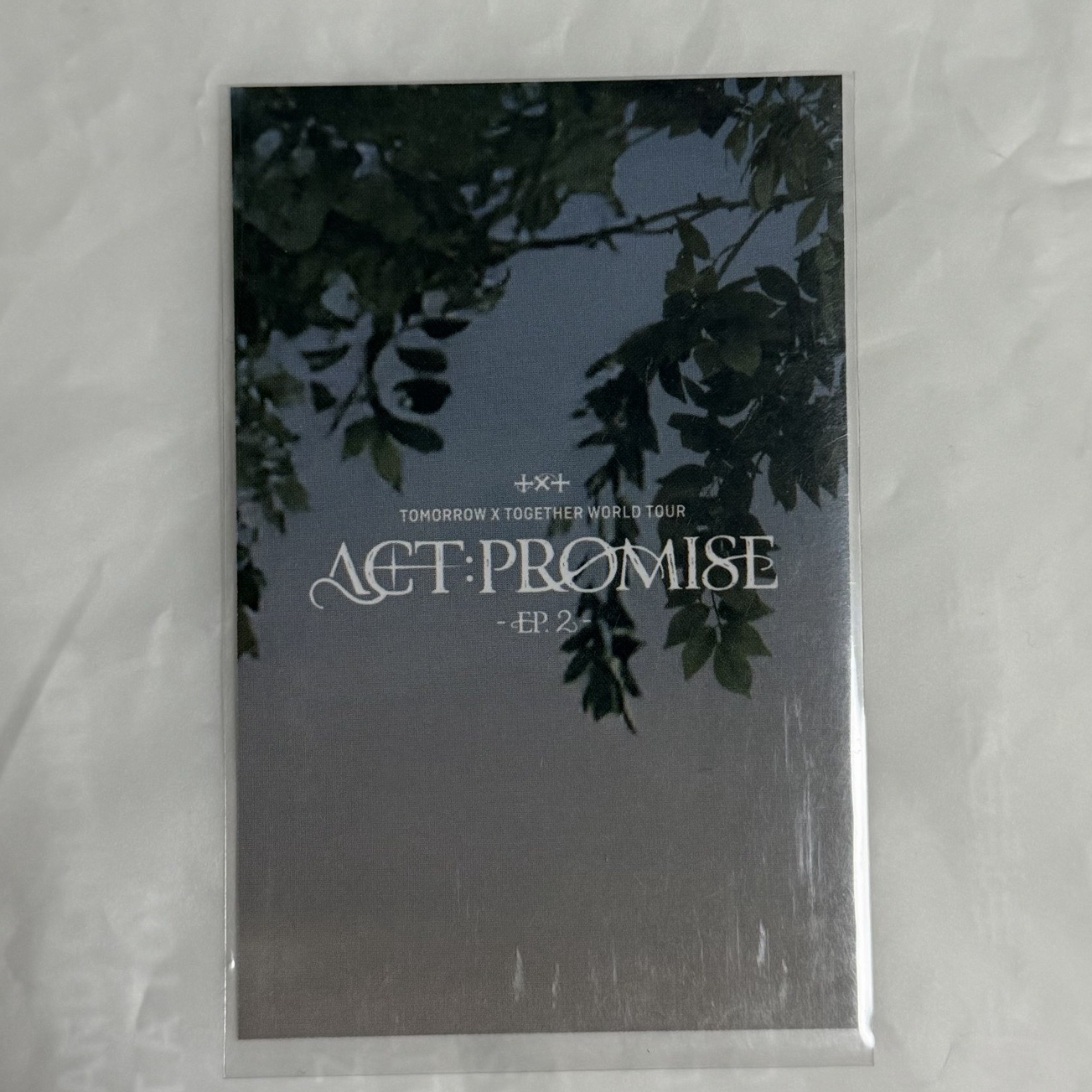 仁川 MOA ZONE然竣