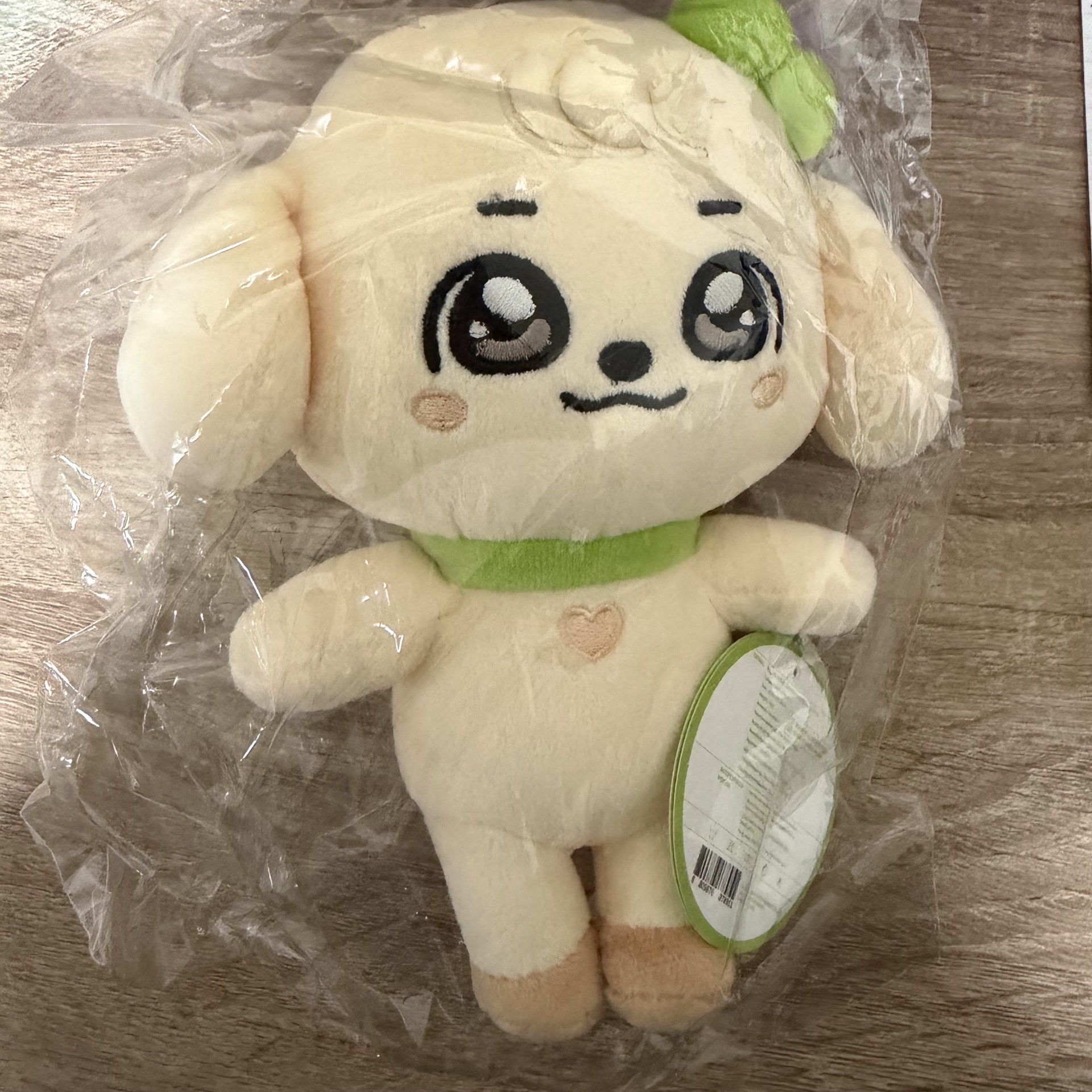 IVE 安俞真 快閃店 MINIVE SCHOOL 20CM 娃娃玩偶 ganganji