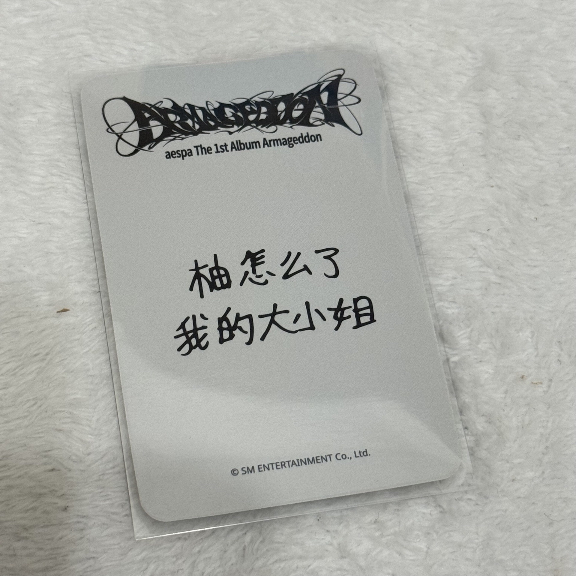 正規一sr星河預售 中文卡背柚