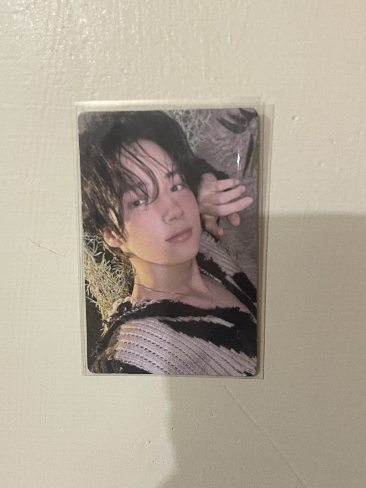 迷5 電子專B 寧卡