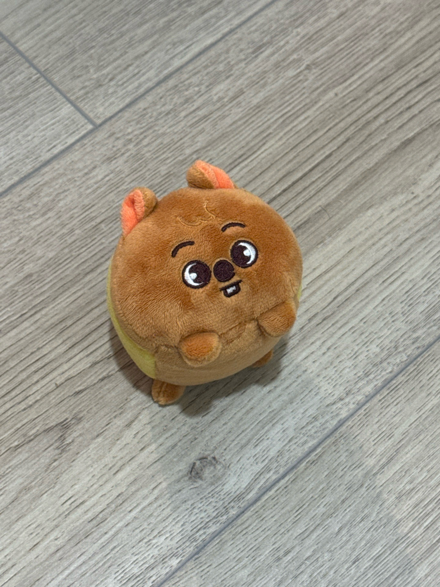 城 趴娃 日週快閃