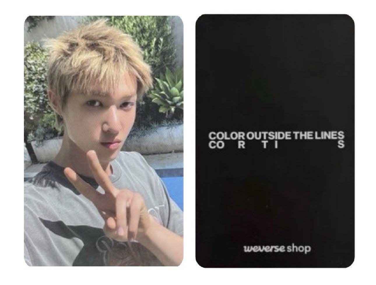 wvs直播b馬（勿下單已保留）