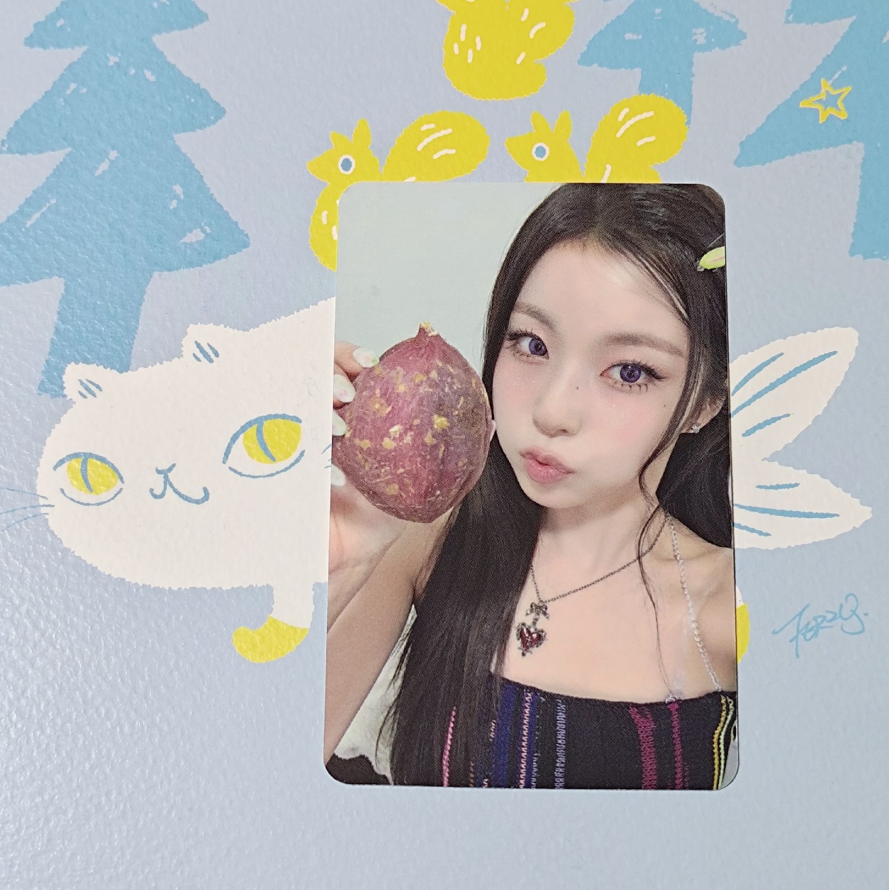 AM當日無預覽圭（可單出）