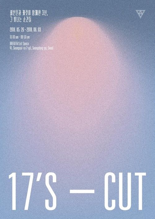 17’S CUT – 세븐틴과 캐럿이 함께한 3년, 그 빛나는 순간들
