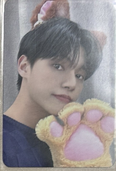 Will ms 1.0 幸運卡 