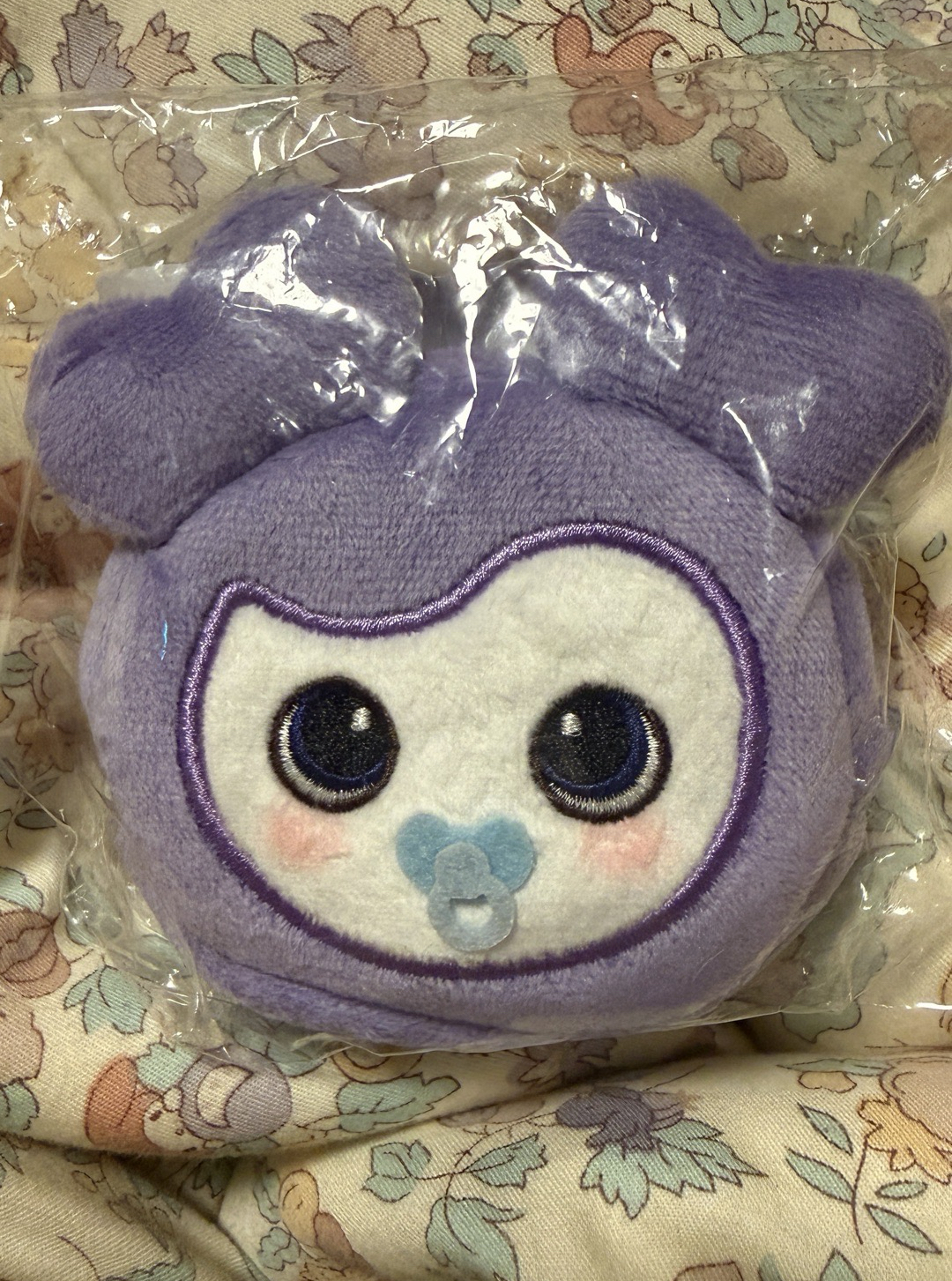 TWICE 冬季快閃 全新耳機包 奶嘴Savely🍼