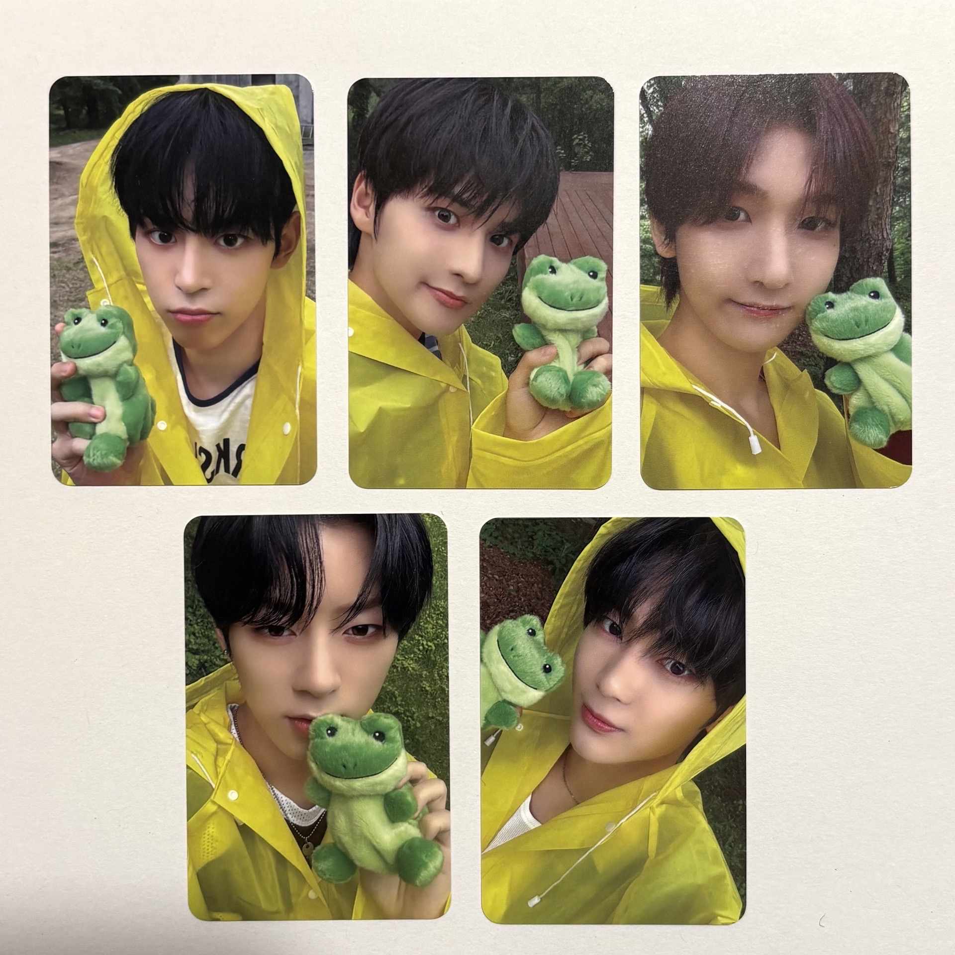 Nowz 特典卡 🐸🌧️