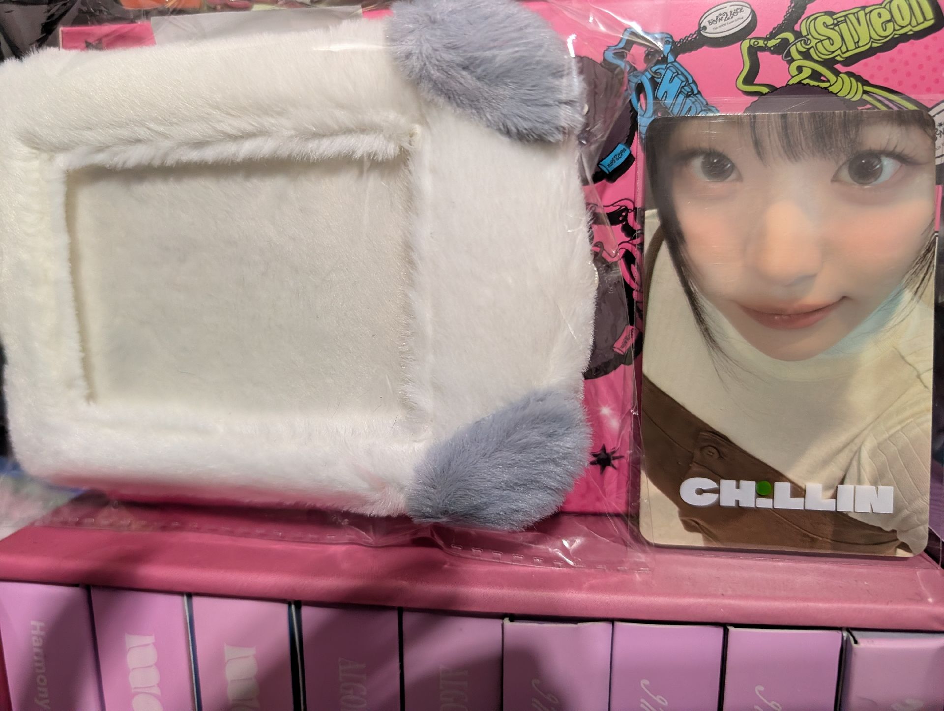 現貨台北限定全新丹卡套（含卡）