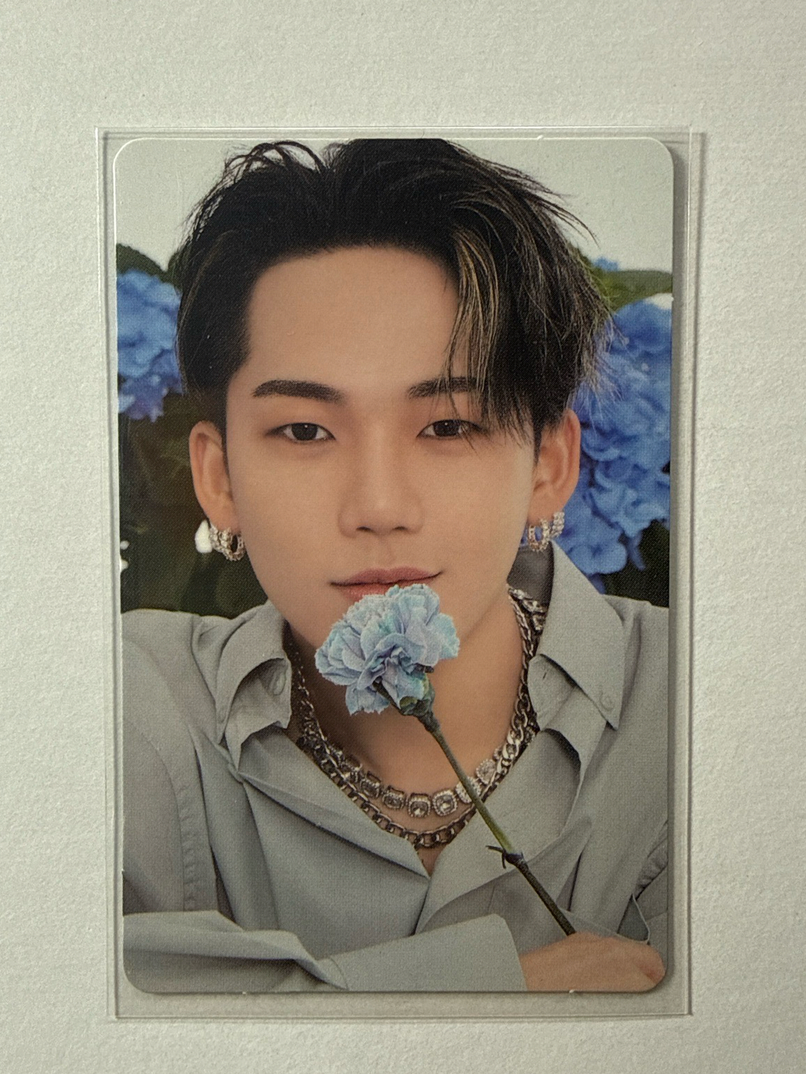 ongredient6.0 特典卡