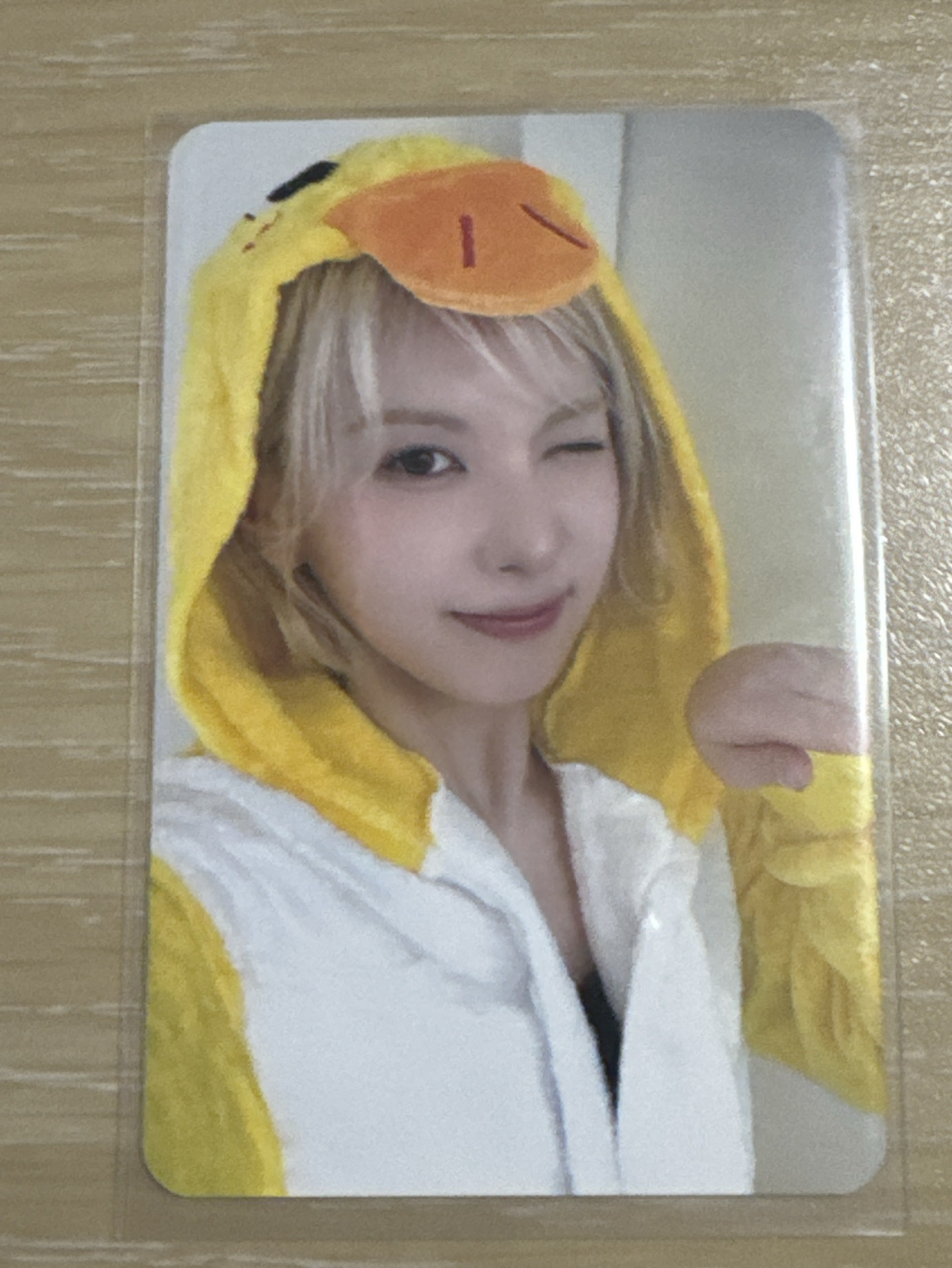 FORWARD ms 8.0 簽售卡 動物睡衣