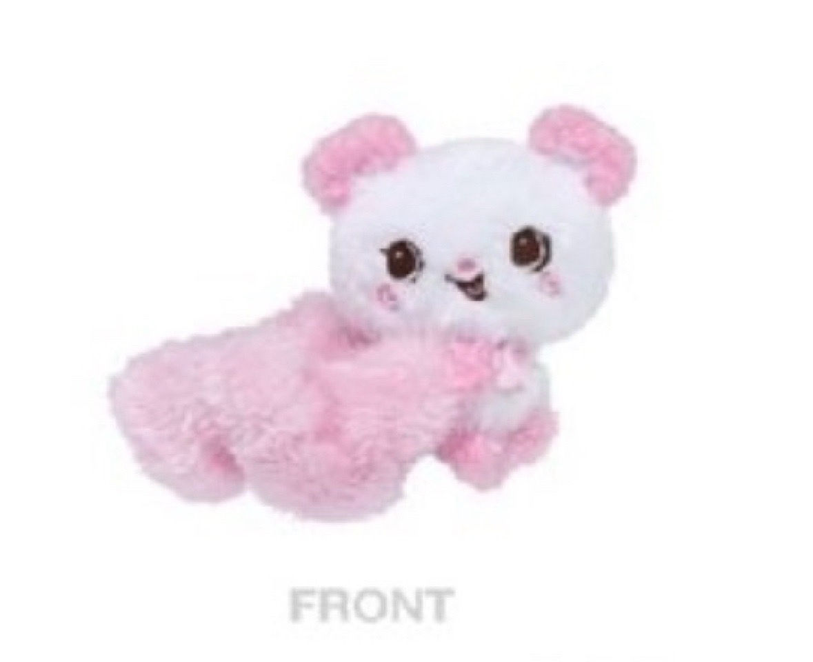 NCT WISH一巡 SAKUYA髮圈 全新未拆 現貨