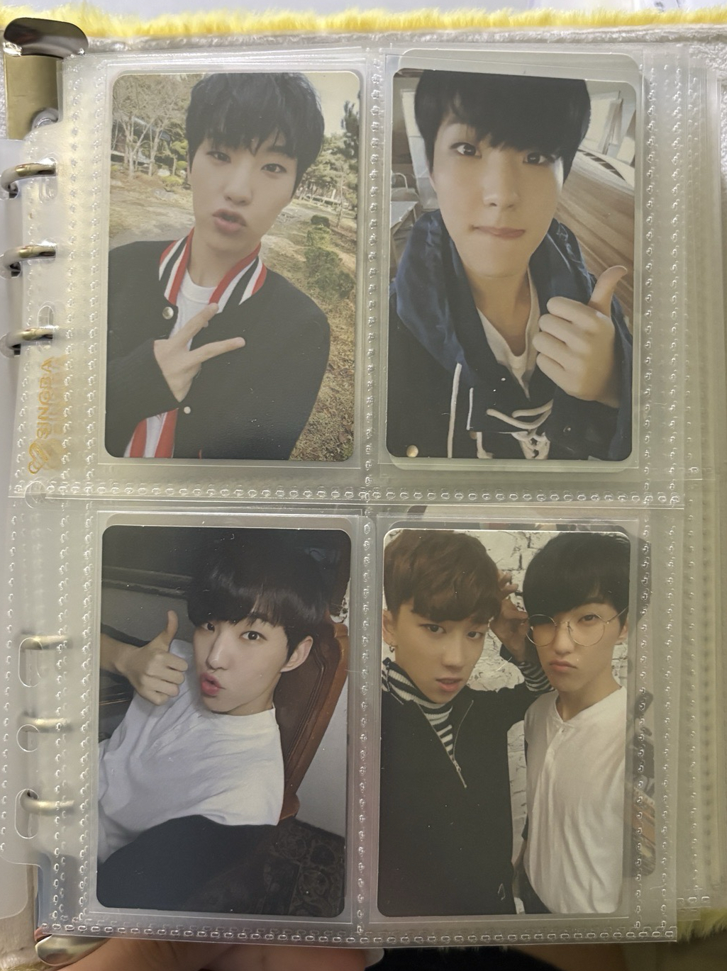 榮小盤 ఇ ◝‿◜ ఇ 