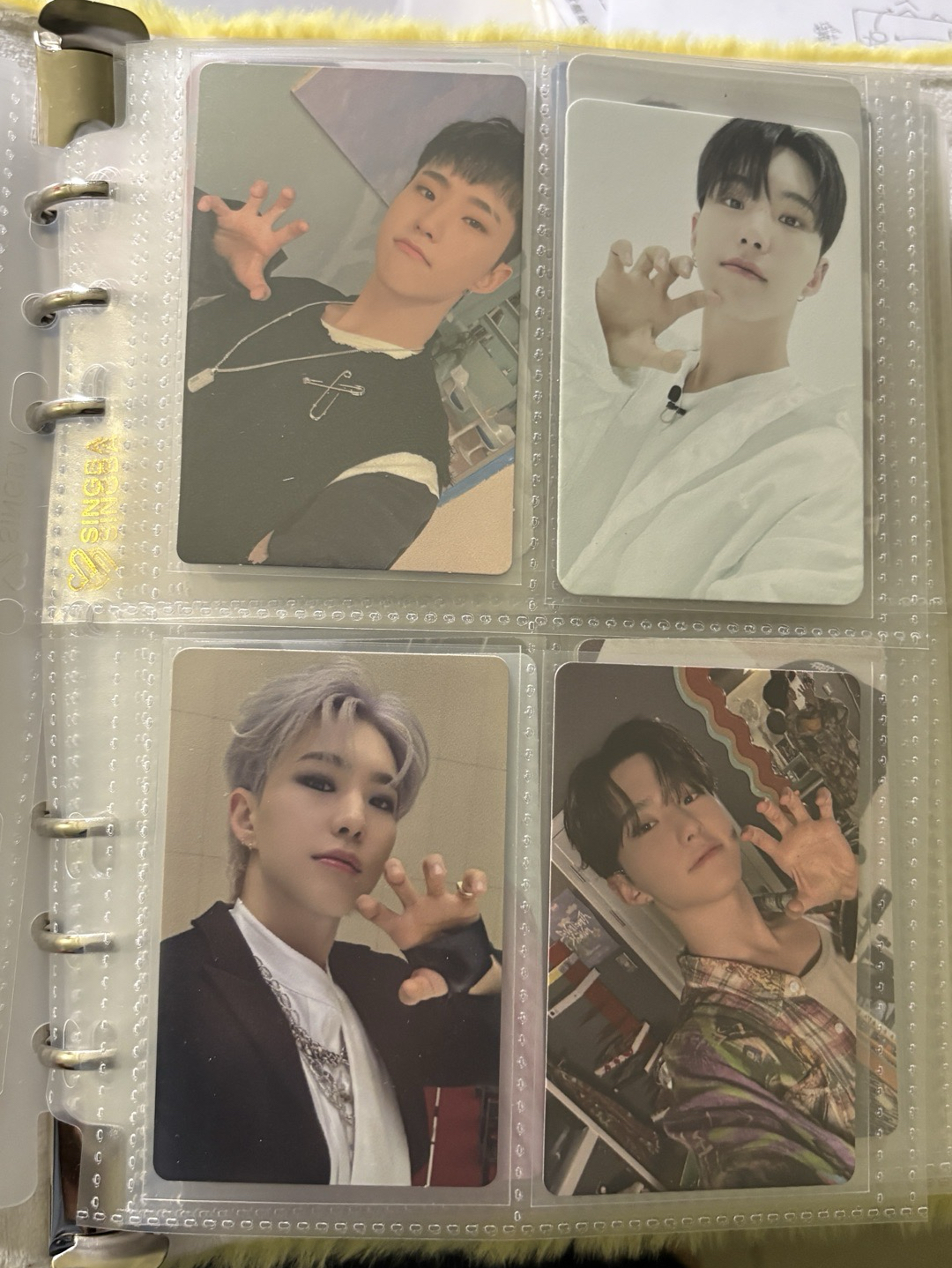 榮小盤 ఇ ◝‿◜ ఇ 