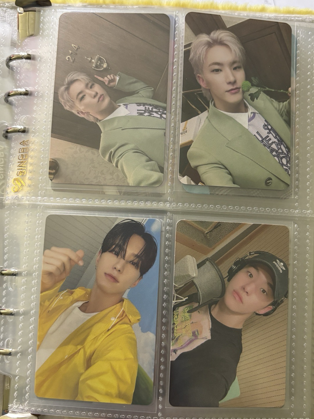 榮小盤 ఇ ◝‿◜ ఇ 