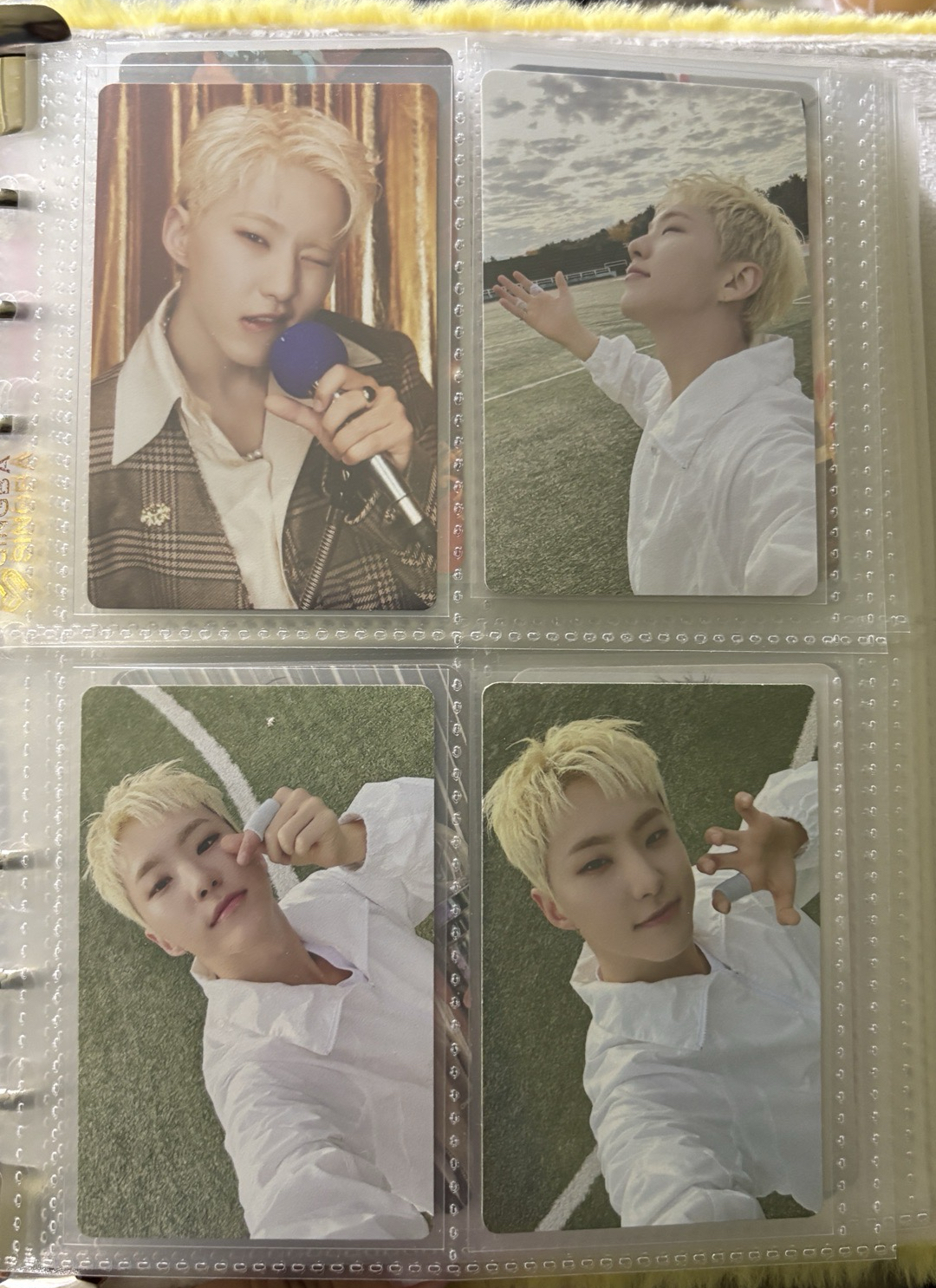 榮小盤 ఇ ◝‿◜ ఇ 