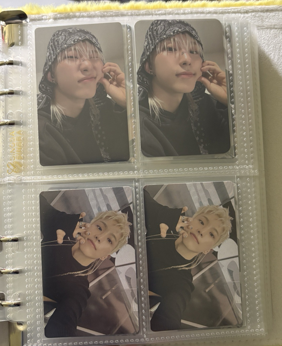 榮小盤 ఇ ◝‿◜ ఇ 