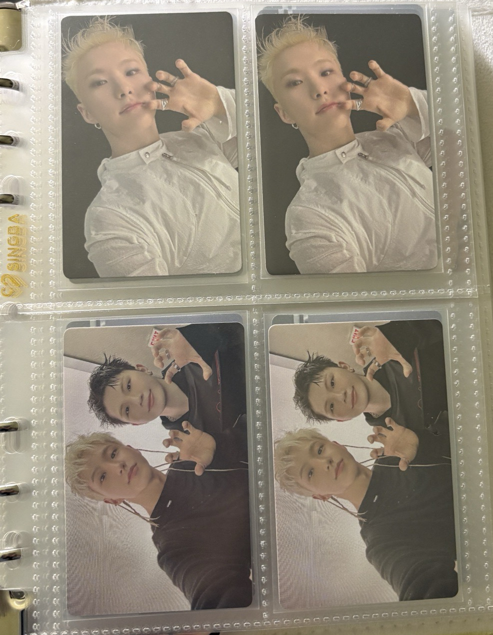 榮小盤 ఇ ◝‿◜ ఇ 