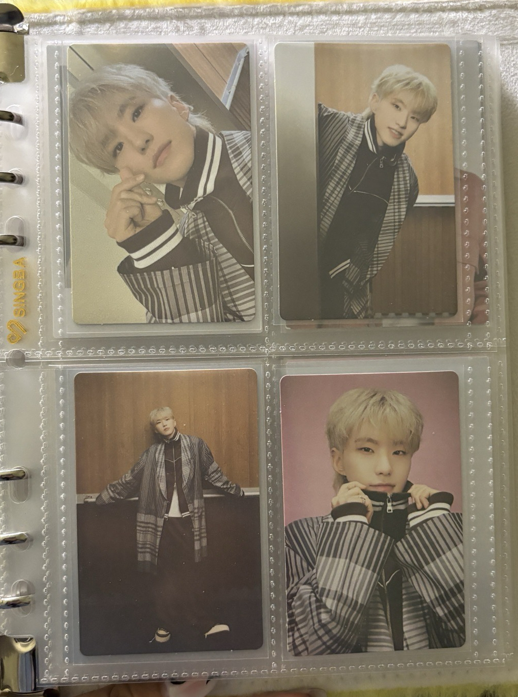 榮小盤 ఇ ◝‿◜ ఇ 