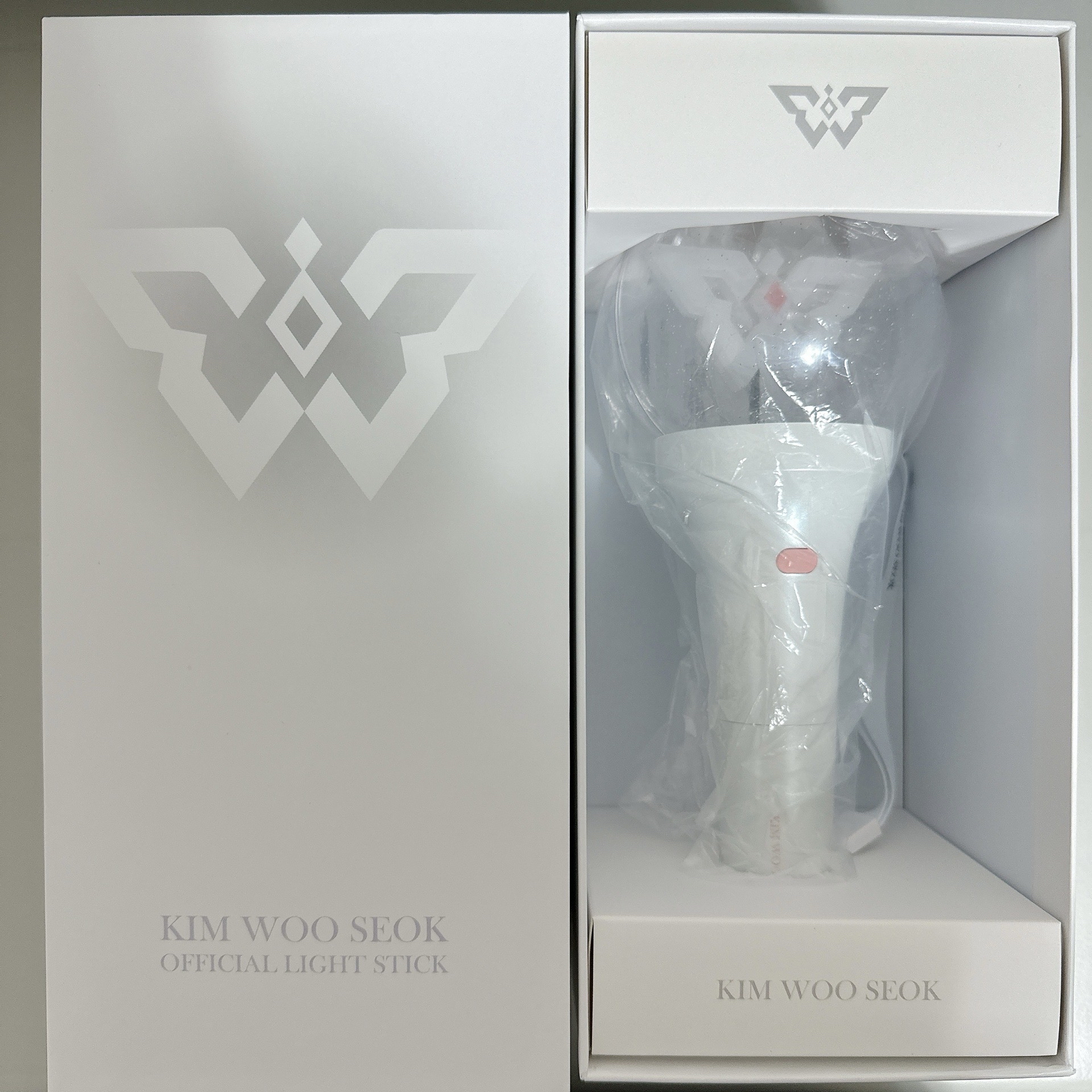 金宇碩官方正版手燈 贈CLIO代言小卡