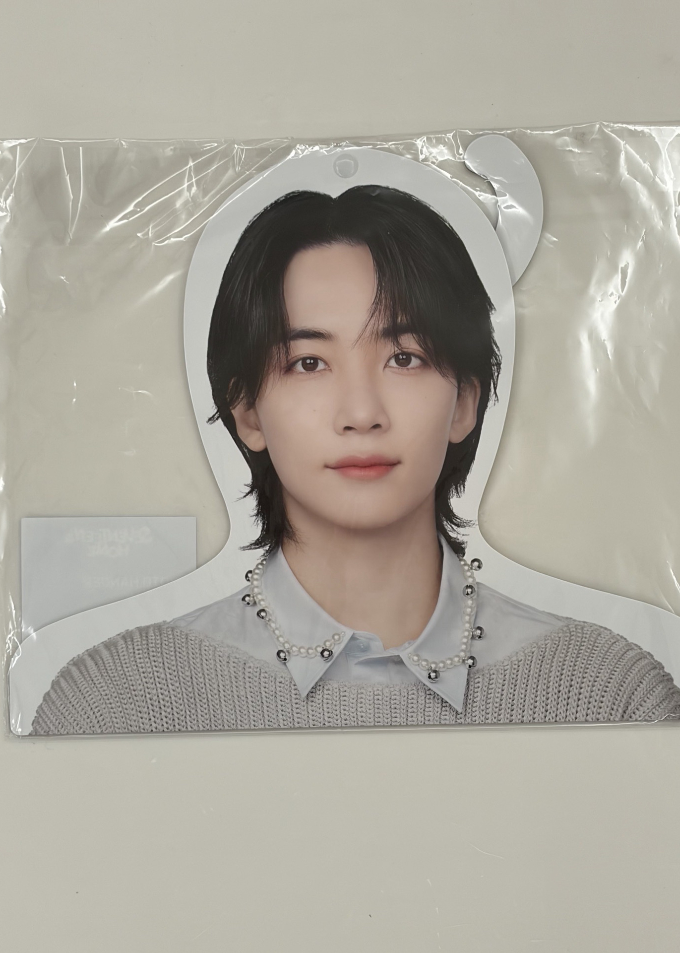 尹淨漢衣架+FOLLOW AGAIN 大扇+帽巾