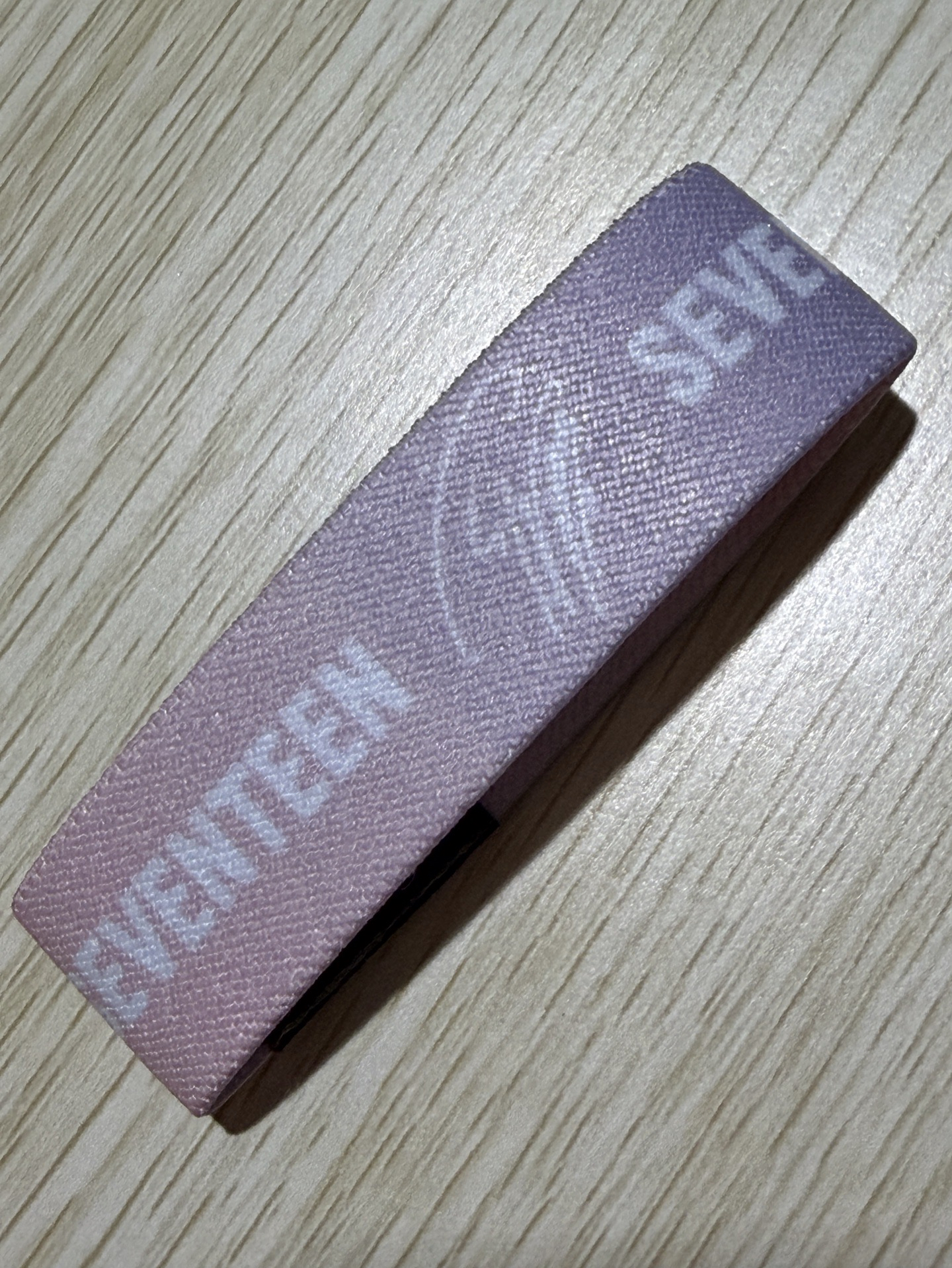 SEVENTEEN WORLD TOUR [BETHE SUNJ》俊