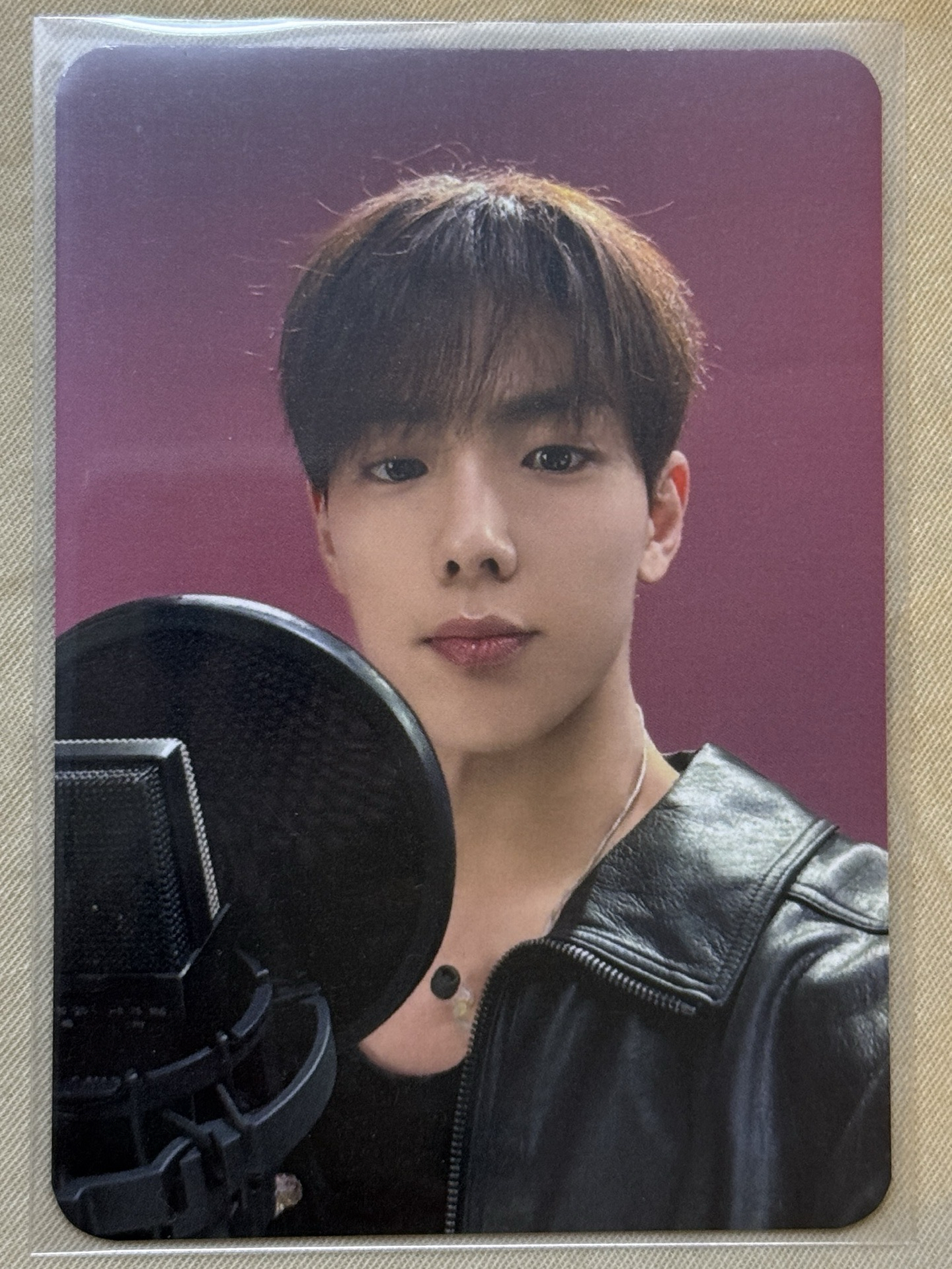 孫賢佑 Dingo 特典卡