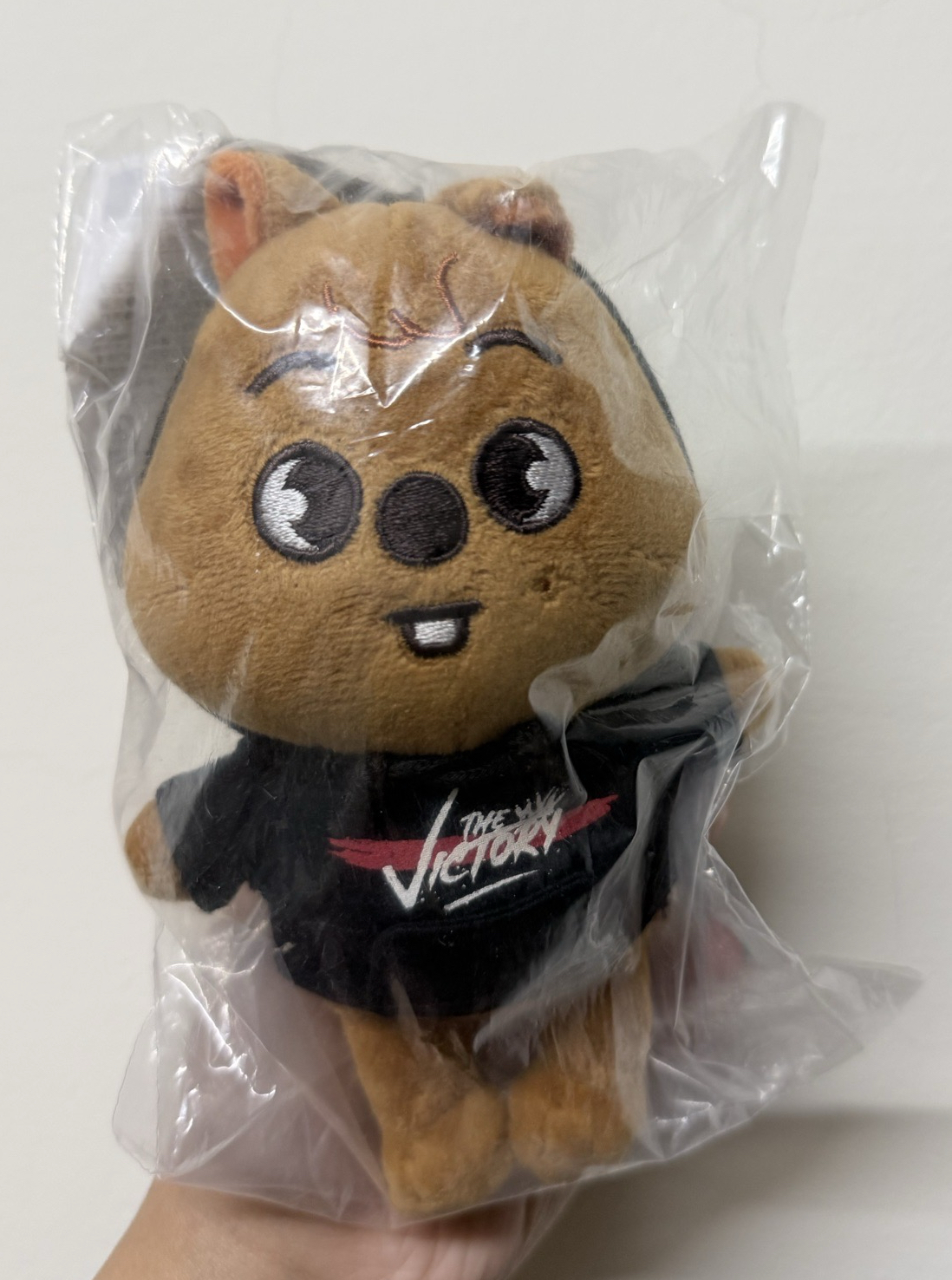 SKZOO 闊卡 迷你娃 初版 日本版