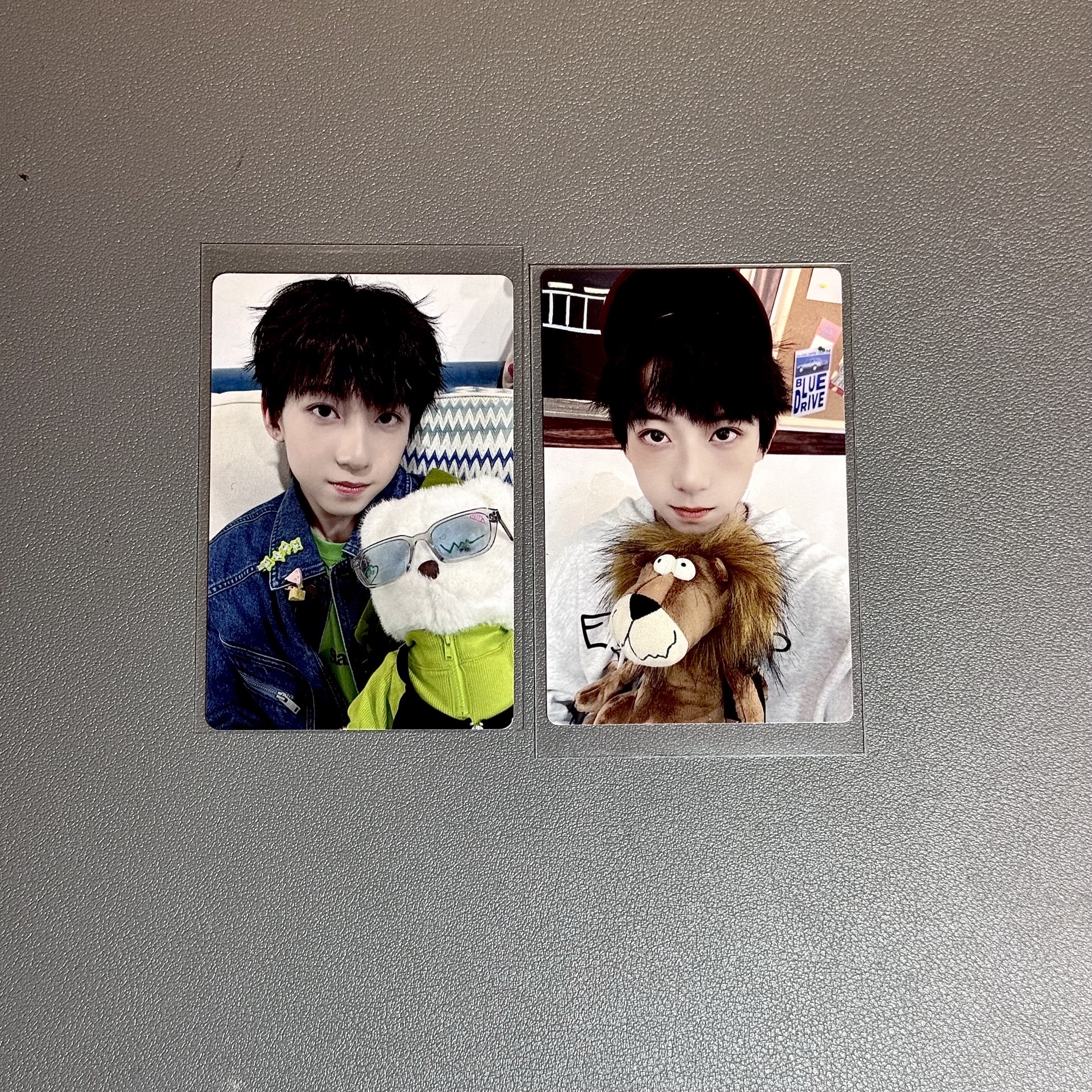 博文小卡 台曆 抱獅 抱熊