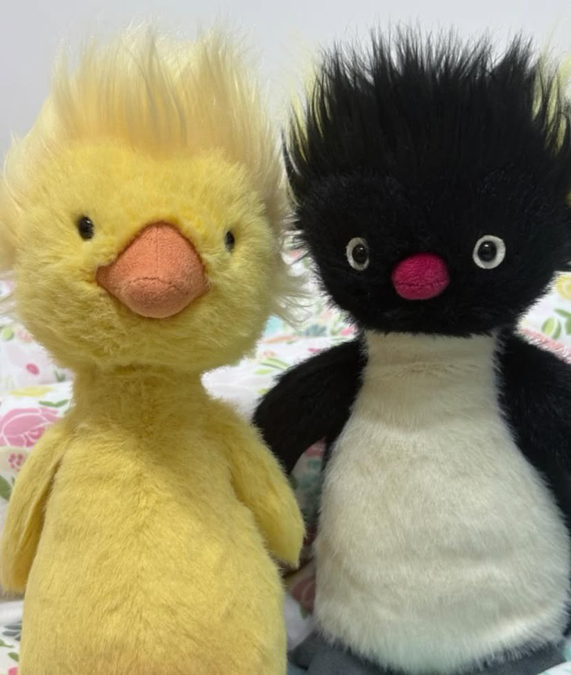 荒野求生的黑麻糬