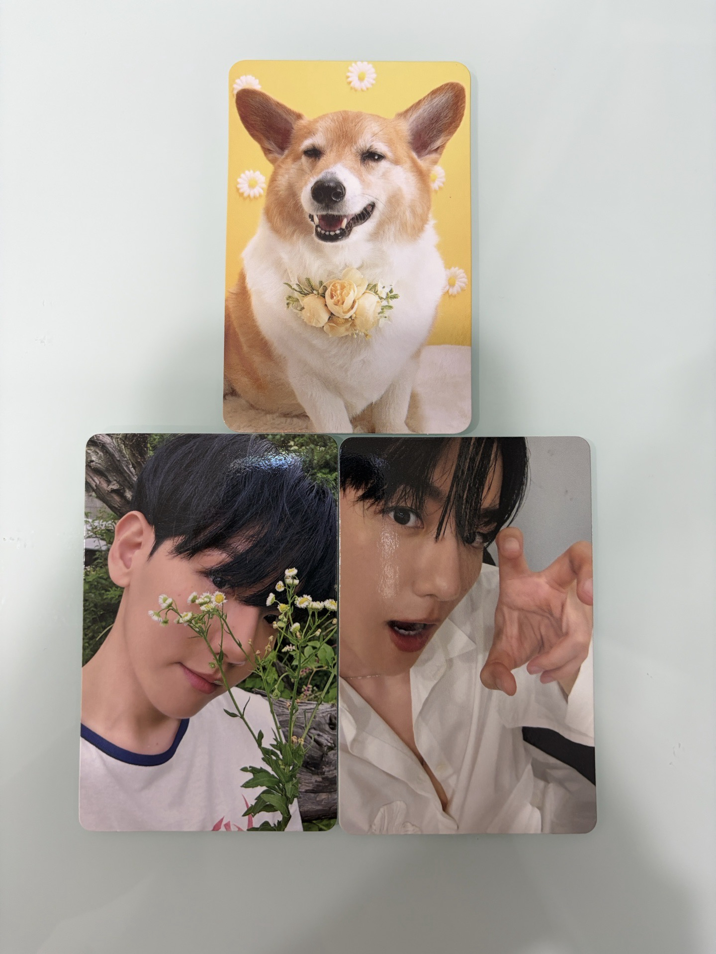 伯賢 Hello World專卡+夢龍小卡