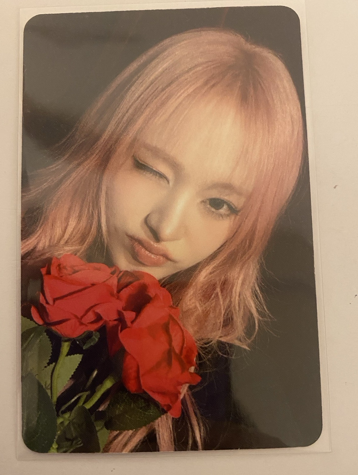 LIZ AM4 簽售玫瑰栗