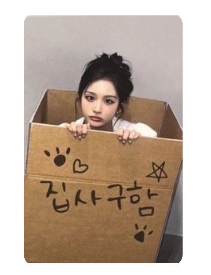 正規一 ms 線下 7.0 簽售卡 尋找鏟屎官 ver.