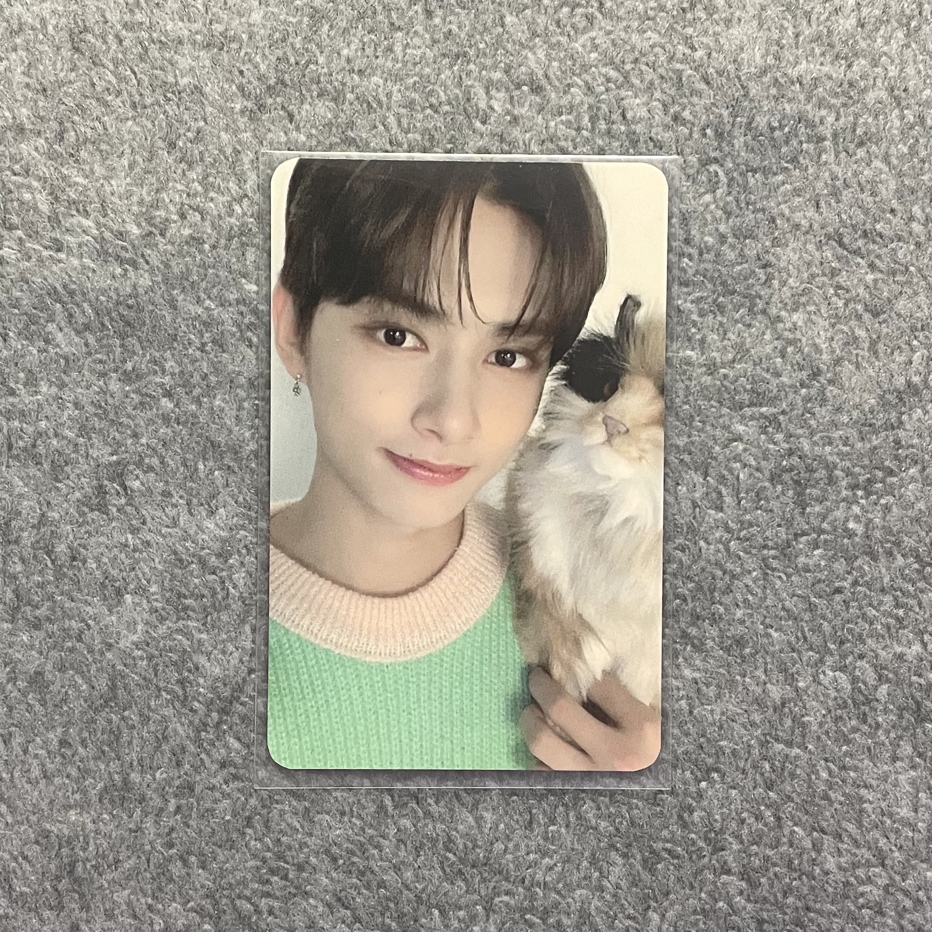 Seventeen 文俊輝Jun 2020年曆小卡 抱貓俊