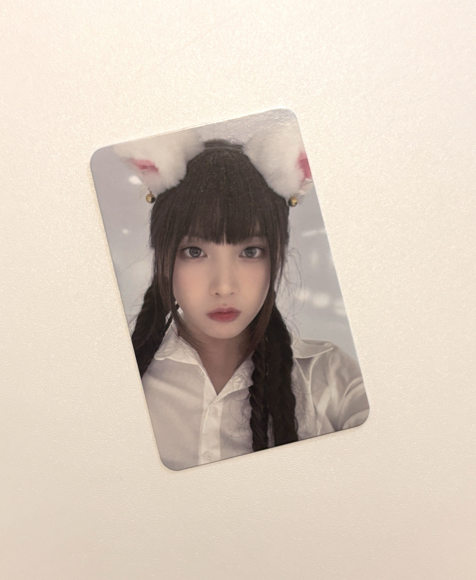 expérgo mp 白貓友